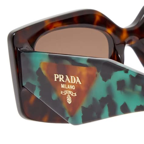 lunette prada tortoise|Prada 2024 Eyewear Collection .